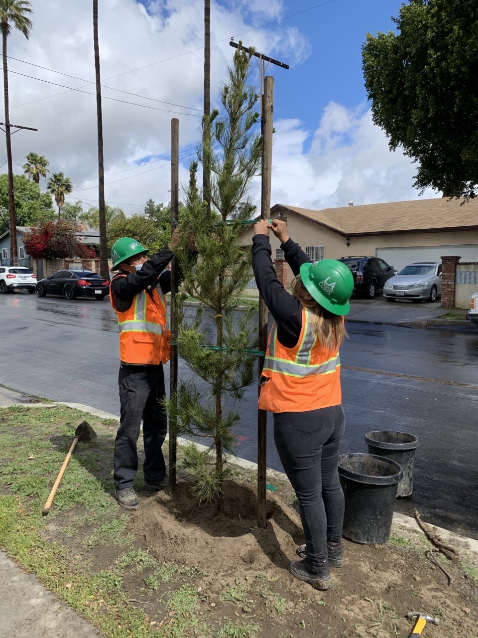 Street Tree Planting Pacoima Beautiful